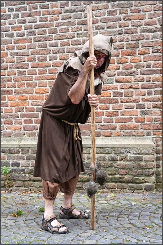 Hanseatic festival / Hanzafeest @Doesburg (6-2025)